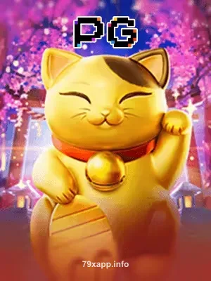 79x Lucky Neko